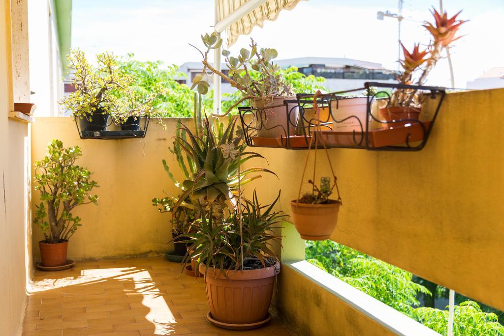 Ferienwohnung Sa Mama E Su Sole Alghero Exterior foto